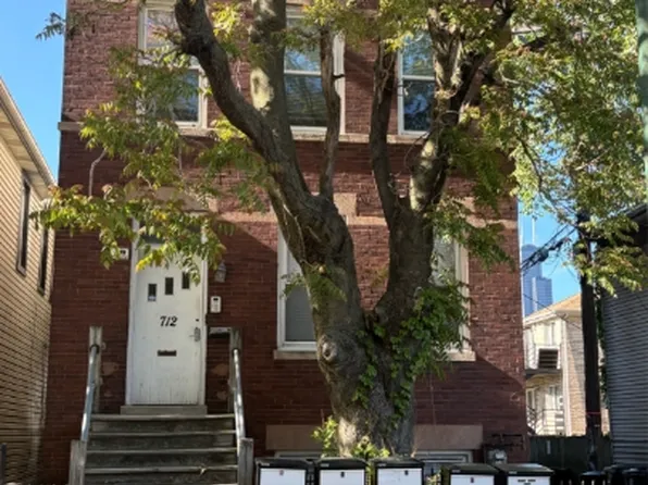 712 W 17th St Unit 3, Chicago, IL 60616