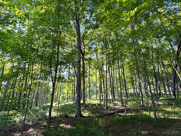 4th image of 514 Dog Hollow Rd