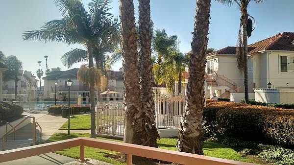 Patio View