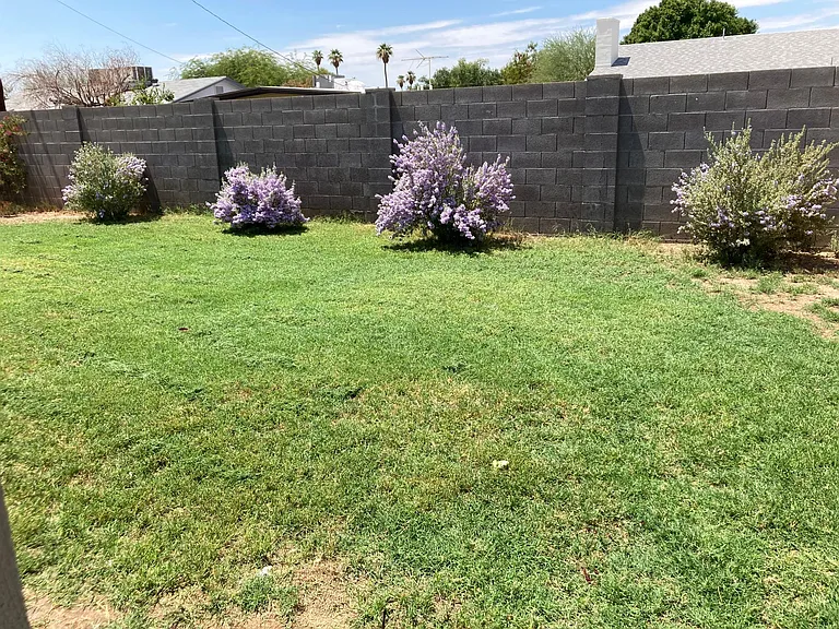 1248 E Loma Vista Dr — Photo 16