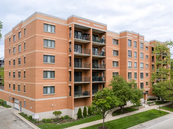 1636 Ashland Ave Unit 309, Des Plaines, IL 60016