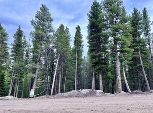 171 Lower Forest Rd LOT 171, Idaho Springs, CO 80452