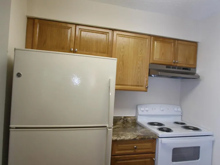 4707 Ravens Crest Dr — Photo 15