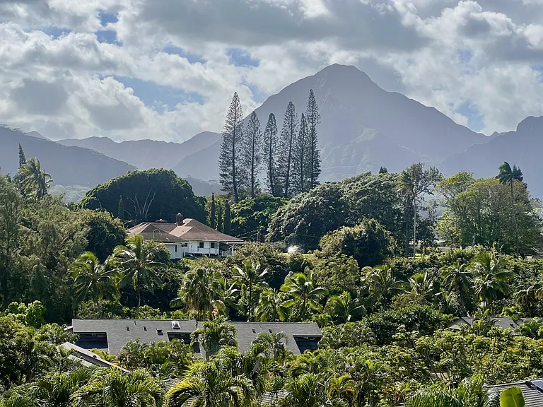 45-995 Wailele Rd #51 — Photo 7
