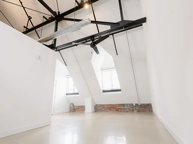 The Williams — Photo 154