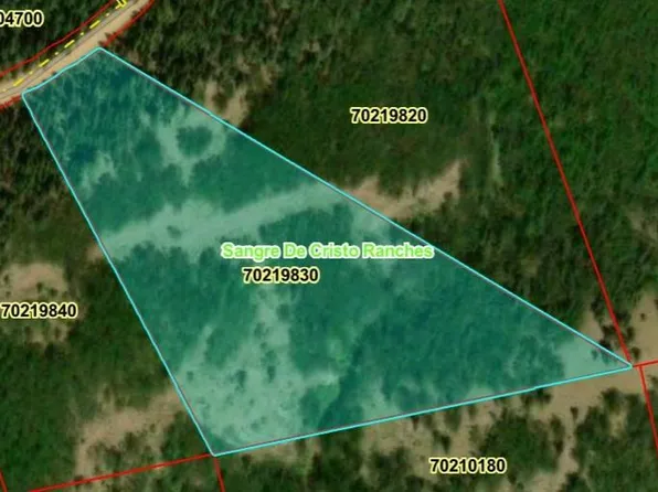 LOT 6588 Forbes Road, San Luis, CO 81152