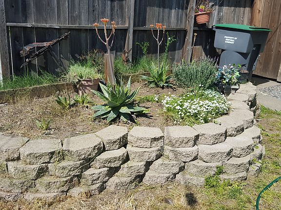 Simple urban landscaping 