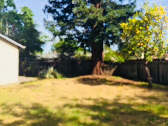5th image of 3519 Laguna Ct
