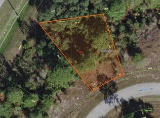 343 W Aster Ct, Kissimmee, FL 34759