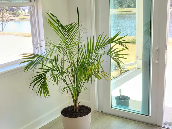 (undisclosed Address), Saint Augustine, FL 32084