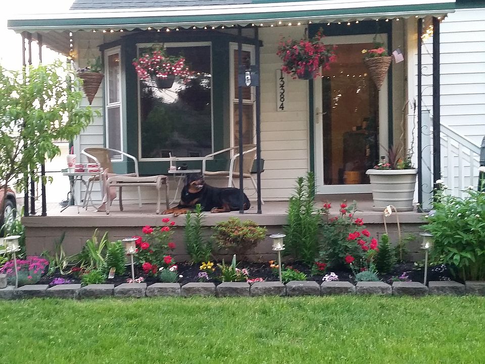 Dog not included :)