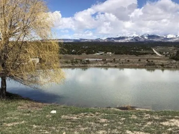 37988 & 38014 HWY 184, Mancos, CO 81328