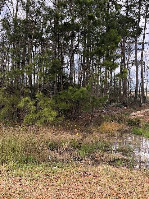 1st image of 1300 Tallow Cir