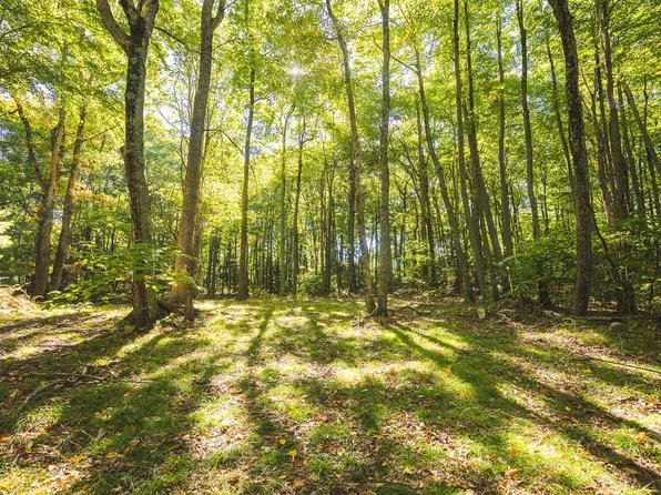 Gator Mountain Rd, Indian Valley, VA 24105