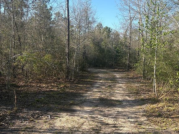 2nd image of 0 County Road 4180