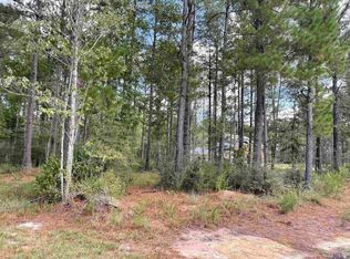 25907 Clyde Blount Rd, Livingston, LA 70754