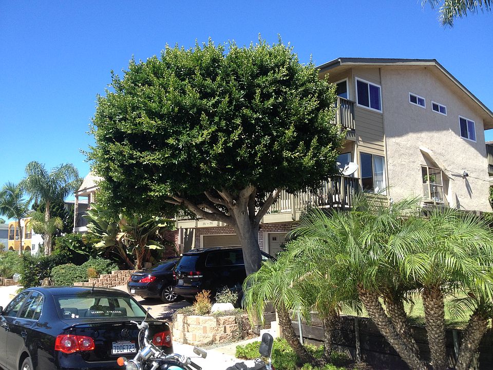 1st image of 774 Sapphire St