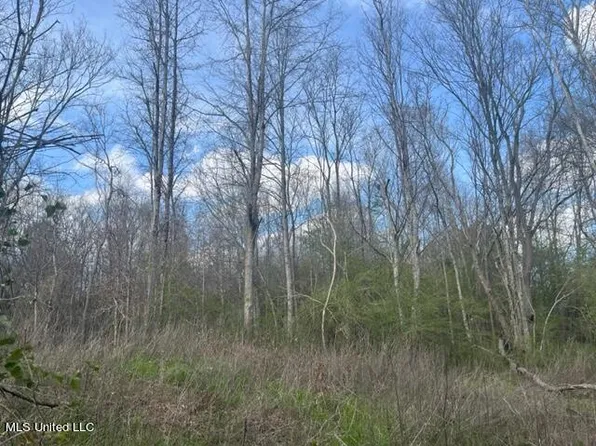 Townsend Rd, Mendenhall, MS 39114