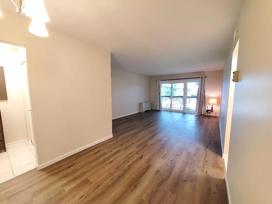 Studio, 525 sqft, $1,650 — Photo 3