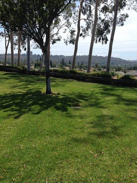 2nd image of 1305 Peppertree Cir