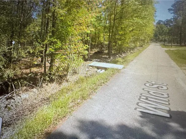 Wild St, Springfield, LA 70462
