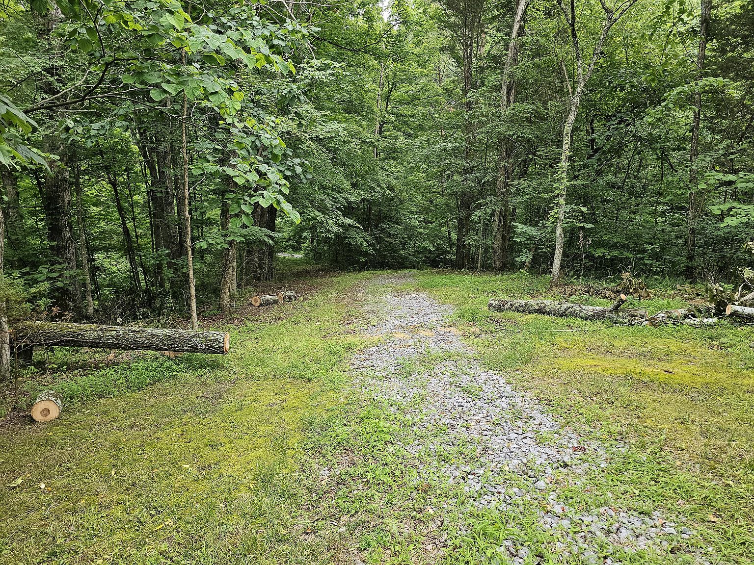 196 Buzzard Roost Rd, Bulls Gap, TN 37711 Zillow