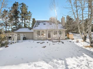 25 Pinto Ln, Bailey, CO 80421