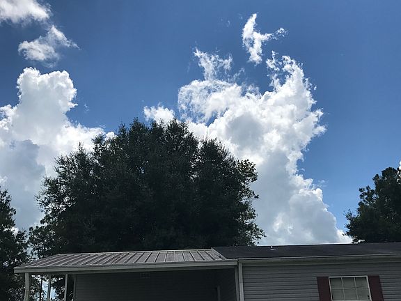 2nd image of 36112 Lodgepole Pine Dr