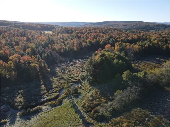 LOT 1 County Road 16 Lot 41, Swain, NY 14884