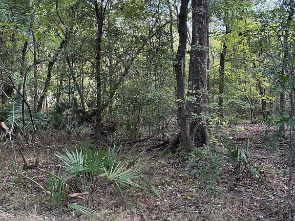 2nd image of 12626 Old Sugar Mill Rd