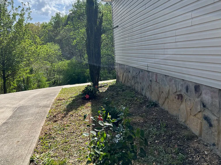7316 Cline Ln — Photo 3