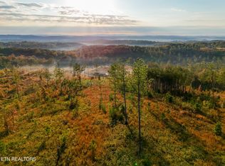 980 Wasson Rd, Ten Mile, TN 37880