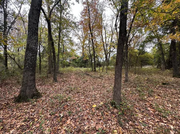 TRACT 21 Batavia Fire Department Rd, Harrison, AR 72601