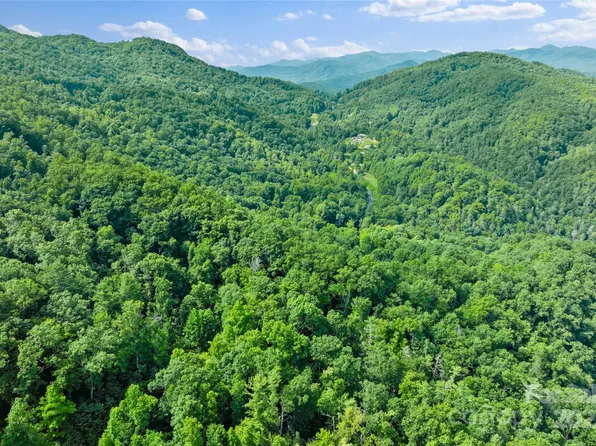 Bear River Lodge Trl #132, Marshall, NC 28753