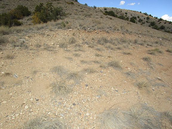 4th image of 46 Road 3595