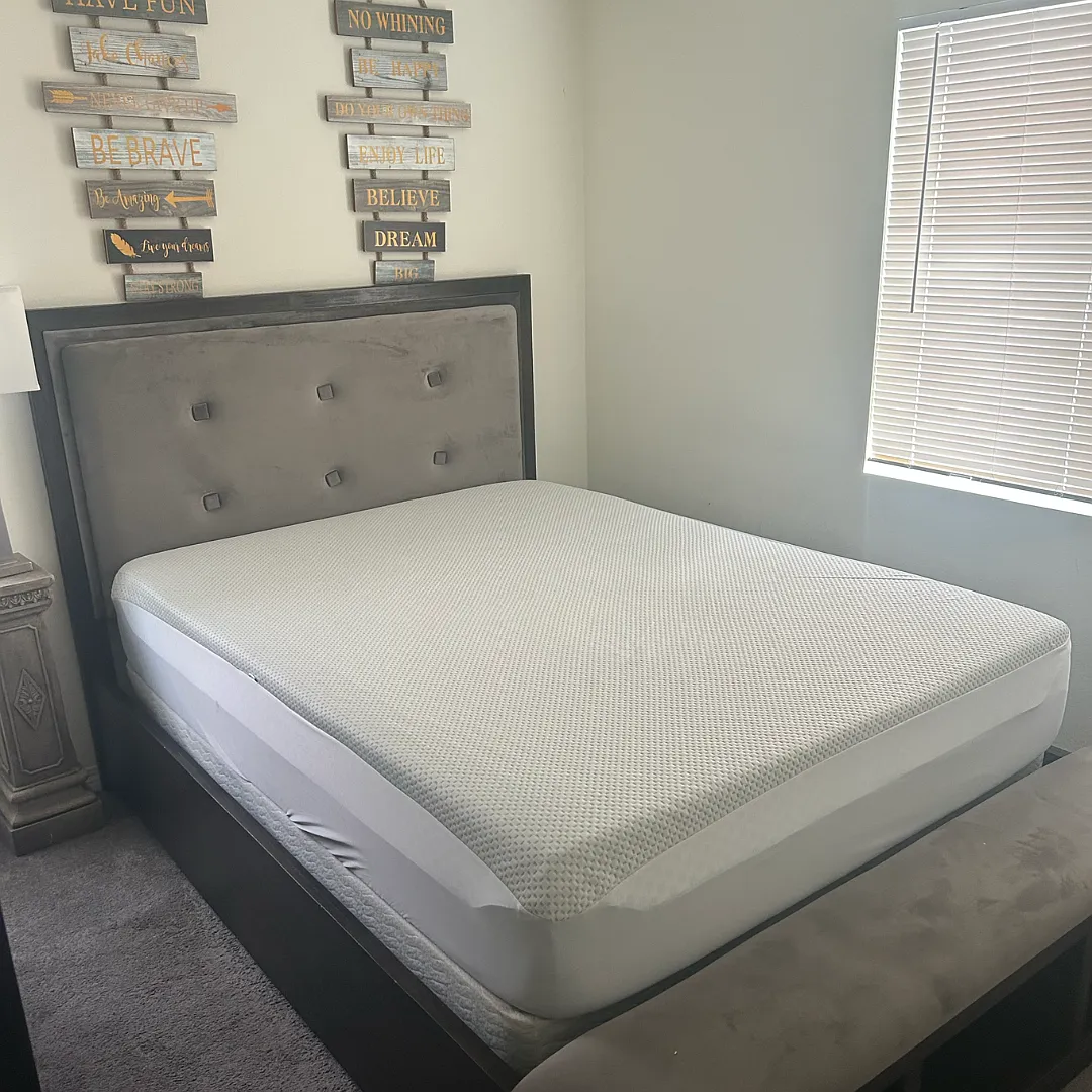 1 bed, $900 — Photo 3