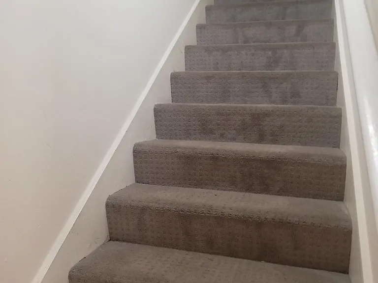 512 Bradkin Ct — Photo 7