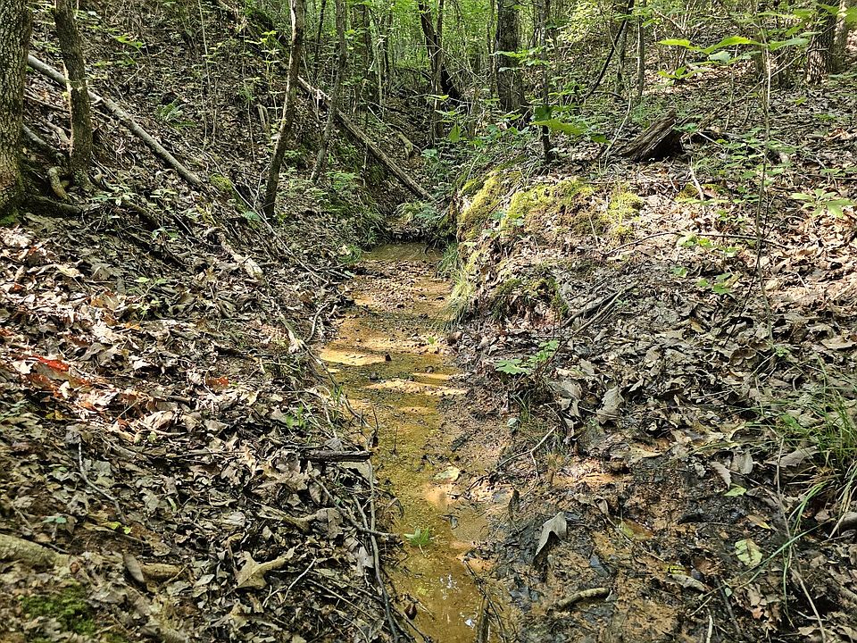 TRACT One 0 Alabama Hwy 44, Brilliant, AL 35548 Zillow