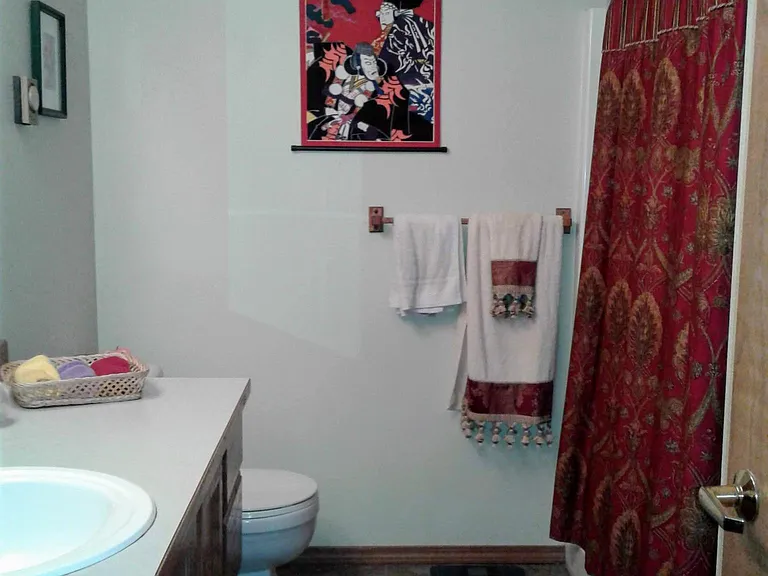 Guest Bath - tub/shower