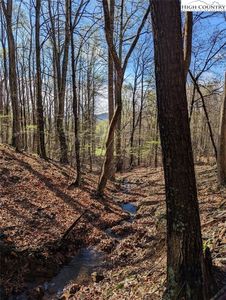 TBD Laurel Creek Rd Extn, Todd, NC, 28684