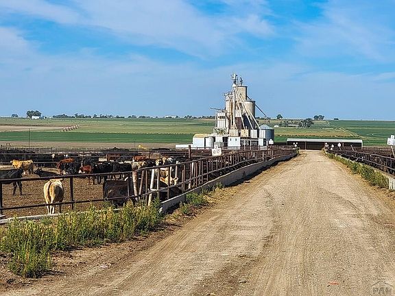 2nd image of 38252 County Road 8