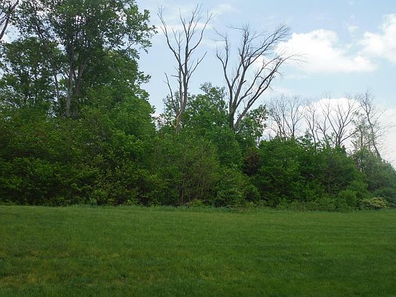 5th image of 396 Piney Creek Dr