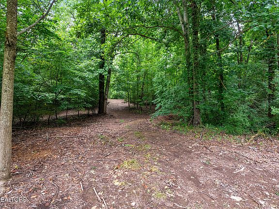 4th image of 910 English Mountain Rd
