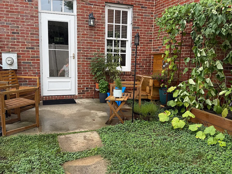 Backyard enclosed by fence