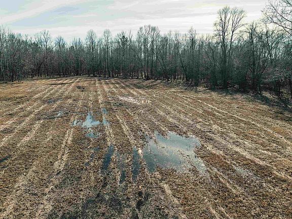 9th image of 198 McIllwain Rd N