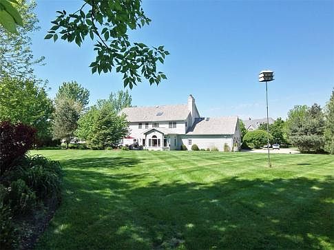 Lush Landscaping in the Back Yard