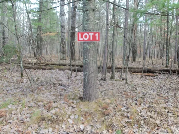 Lot 1 Gilmore Drive, Minong, WI 54859