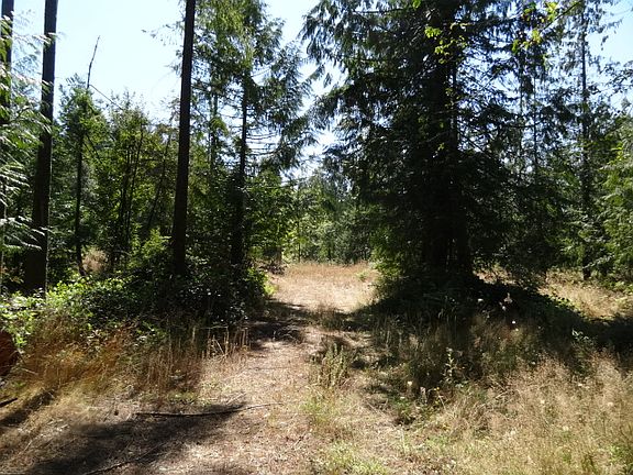 4th image of 3043 104th Ave SW