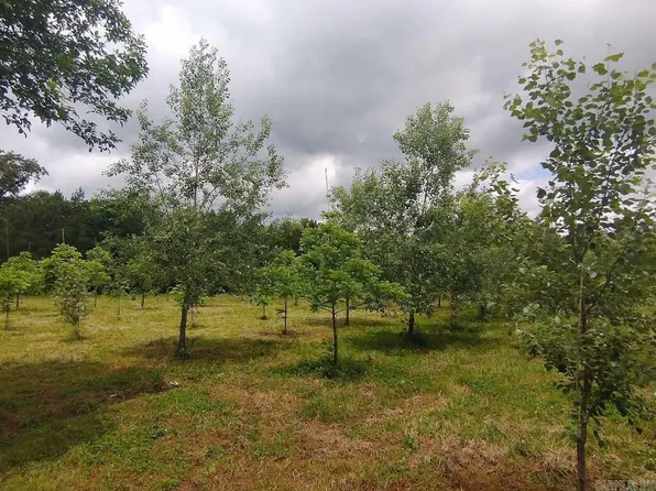 23456 State Highway 80, Danville, AR 72833