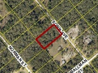 7241 Sonia Ave, Webster, FL 33597